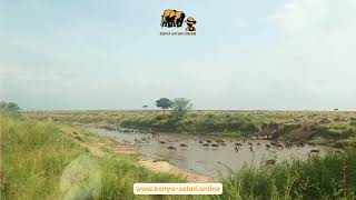 Sand River Great Migration 2026