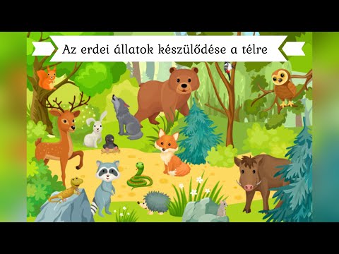 Videó: Hogyan Telnek Az állatok Az Erdőben