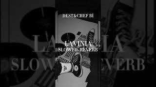 Dest&Chef Bi Lavinia