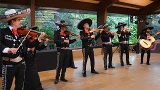 mariachis en Barcelona Son de la negra Mariachi Internacional Barcelona chords