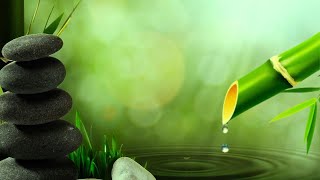 Beautiful Piano Music 🌿 Bamboo, Relaxing Music, Nature Sounds, Relieves Stress Music, Calming music