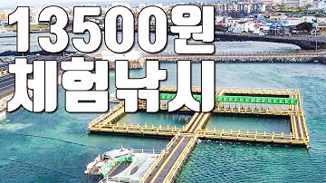 [다리tv] 13500원으로 즐기는 감성돔 체험낚시!!! 가족낚시 강추!!! ☆ 제주도 생활낚시 ☆