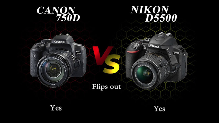 So sánh canon 750d vs nikon năm 2024