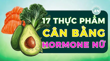 17 thực phẩm NGĂN NGỪA sự mất cân bằng NỘI TIẾT TỐ NỮ | Lê Hữu Ân