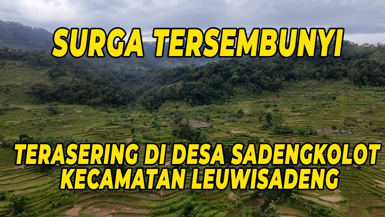 Terasering Di Desa Sadengkolot Kecamatan Leuwisadeng | Drone FVP