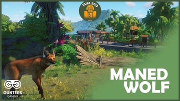 Building an Amazing Maned Wolf Habitat | Igua Zoo | Planet Zoo