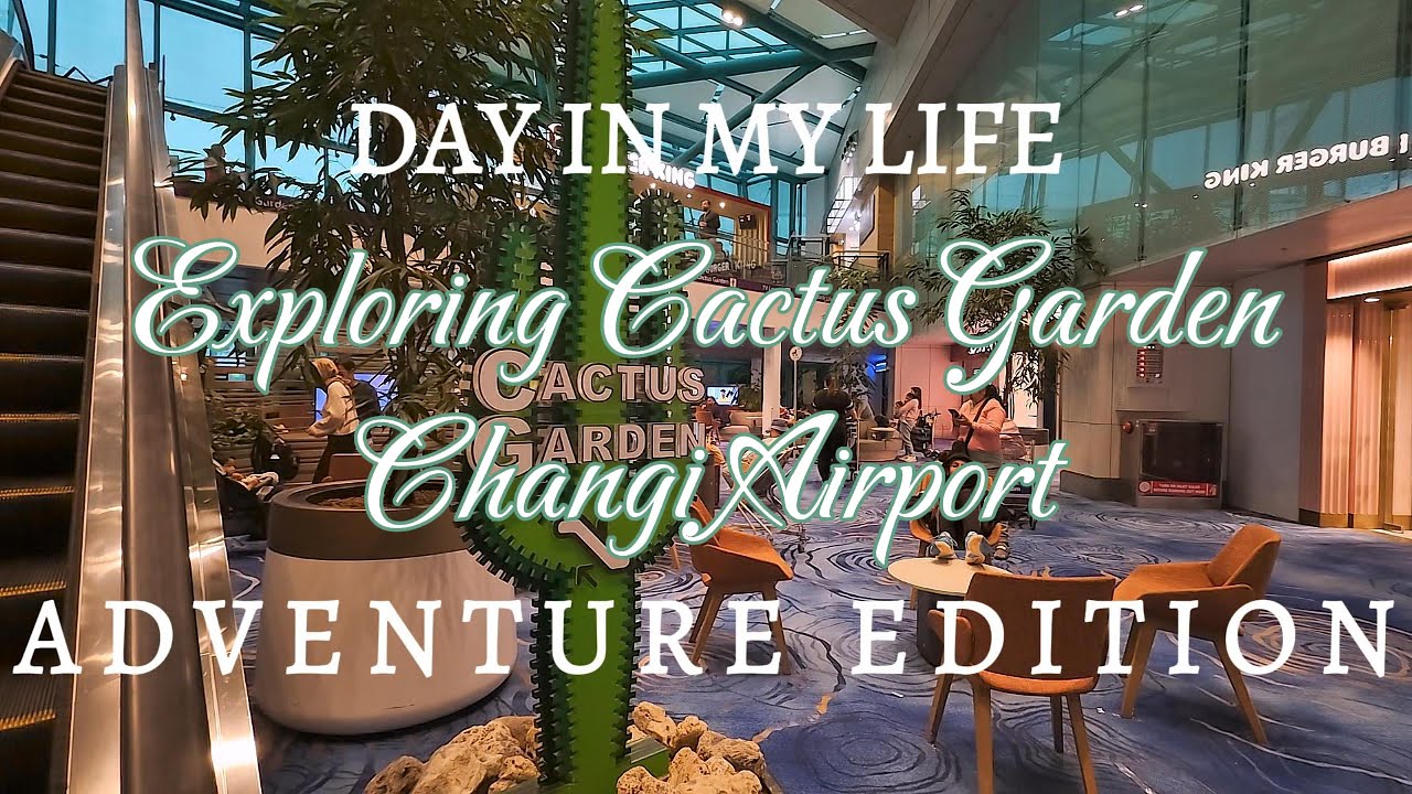 Cactus Garden Discover the Beautiful Landscape Changi Airport Layover Adventure