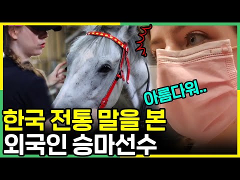 한국 전통말을 보고 사랑에 푹 빠져버린 네덜란드 미녀 승마선수의 반응