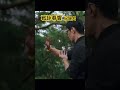 奇拉拉武學紀錄片《戰詠春響》 - 夜醒影像製作 https://youtu.be/chsYh5EXB9k?si=ODMcFi384tk_O1uH