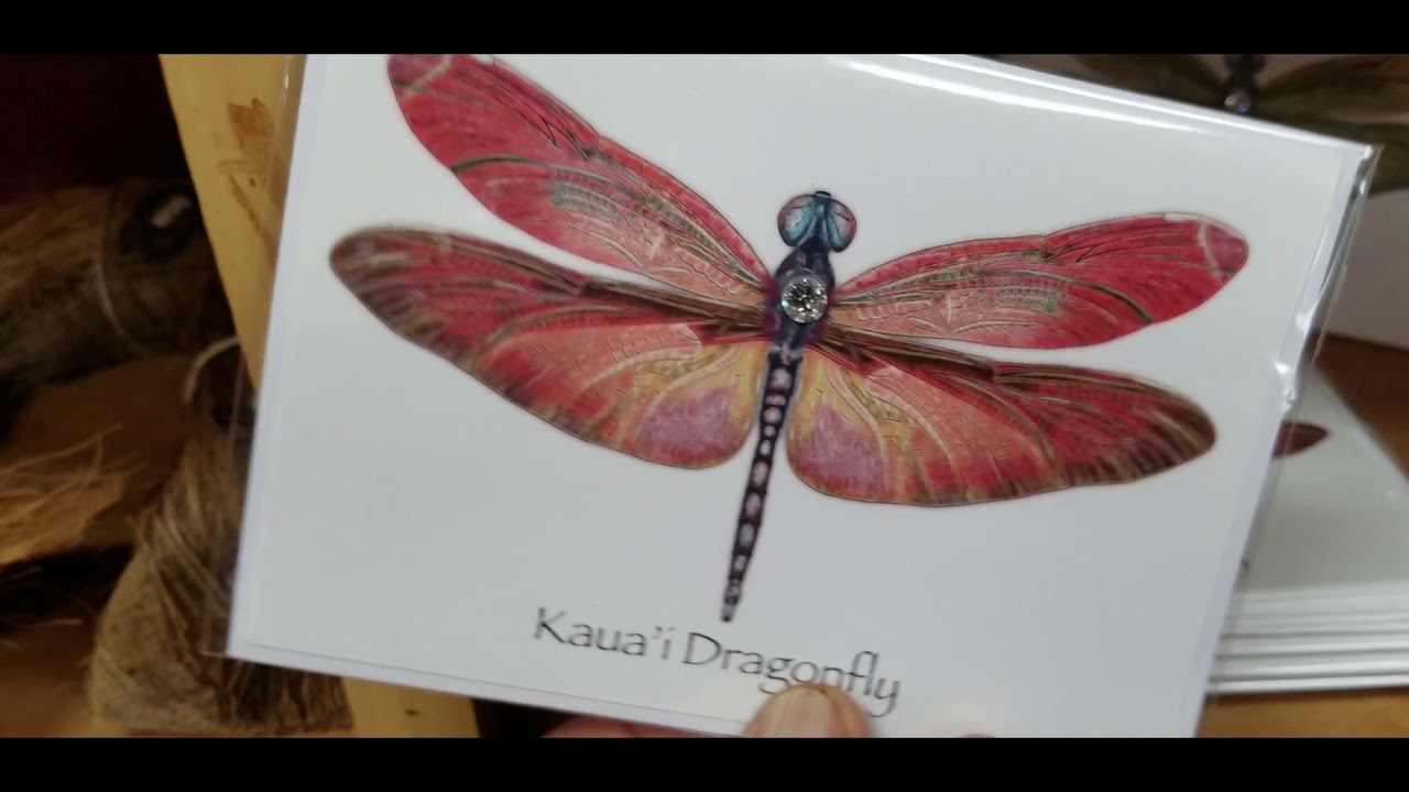 Dragonfly Cards, at The Kauai Store