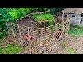 Builder Best Video: Building  House​ Chicken