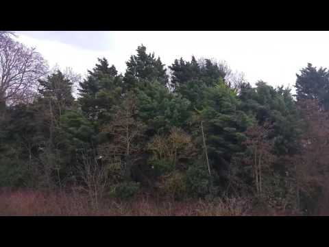 Oost-Souburg storm Thomas