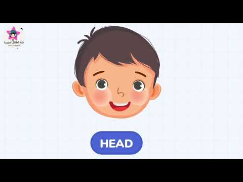 أعضاء جسم الإنسان بالإنجليزية للأطفال تعلم مع صوت و الصور