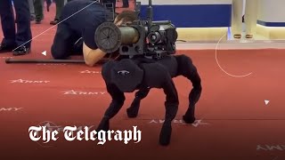 Russia demonstrates 'fake' robot dog dressed in ninja clothing at arms trade show