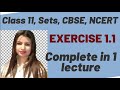 Exercise 1.1 11th ncert