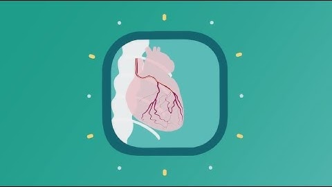 See clearly, guide confidently with Dynamic Coronary Roadmap
