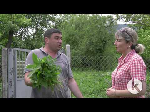 გოჭების მარათონი - მეორე გადაცემა