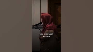 سورة فاطر - ماجد الحازمي