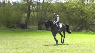 Charlie Flatwork