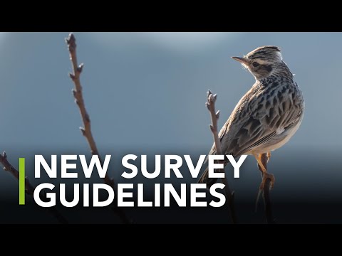 Bird Survey Guidelines spread their wings