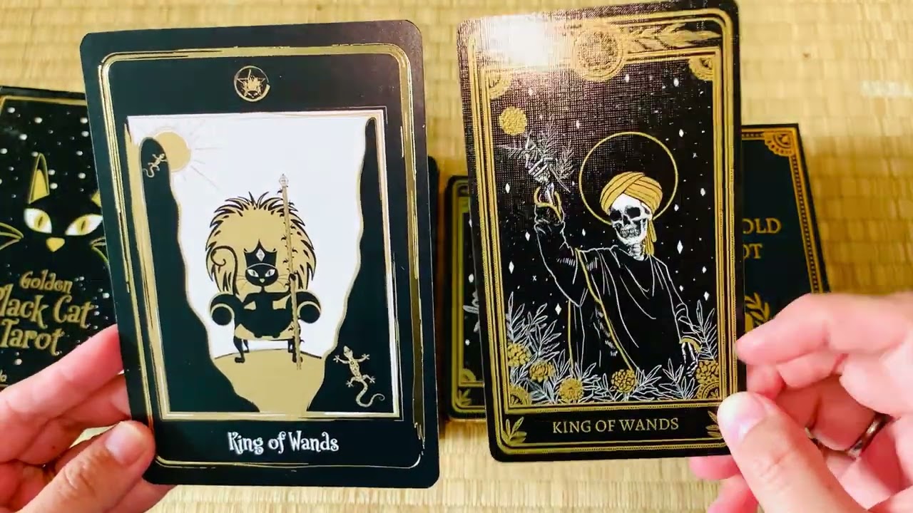 ⚡️energy pairing⚡️Golden black Cat & Marigold tarot flip through & quick review