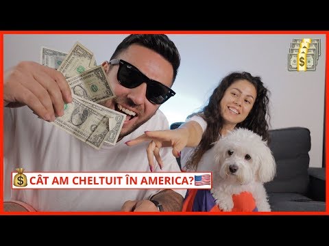 Video: Cât Va Costa Să Călătorești în America