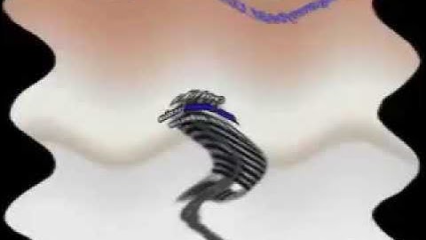 KlaskyKlaskyKlaskyKlasky Gummy Bear Song Version in Sailor Mercury Effect