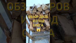 Снег Дровам Не Помеха