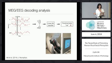 The Neural Basis of Perceiving Human Visual Social Perception