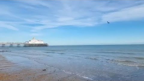 تلاوة خاشعة للجزء الرابع عشر(١٤).، هيثم الدخين.