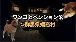 ワンコとペンション泊。群馬県嬬恋村でワンコと同泊できるペンションのなかでも高評価の多いペンション オーサムワンさんへ。