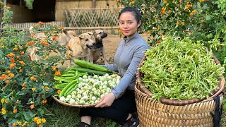 FULL VIDEO: 40 days of harvesting white radish, zucchini, and papaya flowers to sell at the market