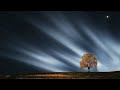 Dreams | Peaceful, Healing &amp; Meditation Music for Relaxation