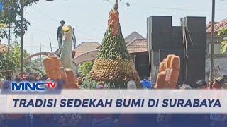 Tradisi Sedekah Bumi Kembali Digelar di Kota Surabaya - LIP 05/09