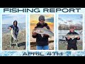 New jersey fishing report april 4th fishingreport surffishing stripers