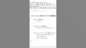 HERENCIA Simple en JAVA con NETBEANS 💻 [Programación Orientada a Objetos]