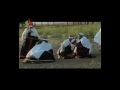 Capture de la vidéo Musiques, Danses Et Traditions Des Aurès - 4/5