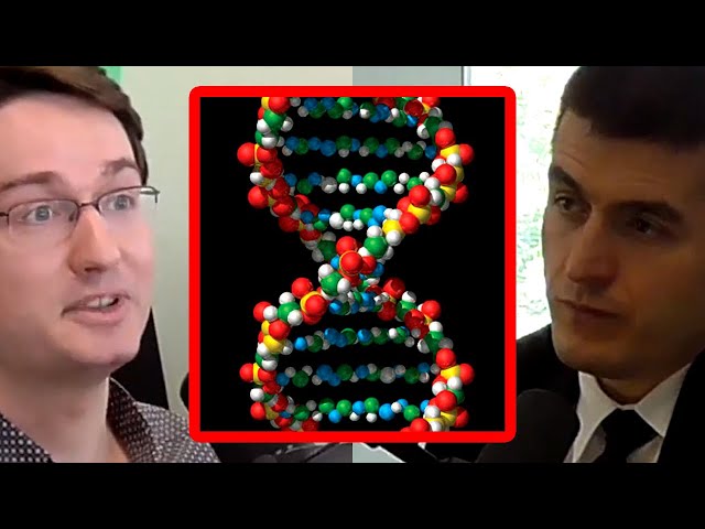 Thumbnail for François Chollet: Scientific Progress is Not Exponential | AI Podcast Clips