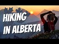 Best Hikes in Alberta Canada | Hiking in Kananaskis | Sarrail Ridge Tent Ridge, Johnson Canyon Banff
