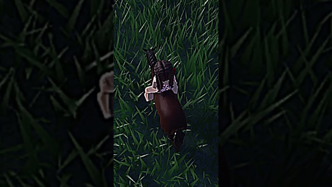 Just a lil swim with cookie!