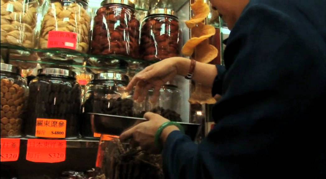 Seahorses Wanted Dead or Alive - Opening Tease