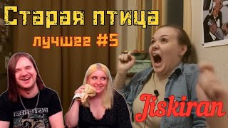 видео: Старая птица. Лучшее #5 | @Jiskiran @maruseyro  картинка: Старая птица. Лучшее #5 | @Jiskiran @maruseyro