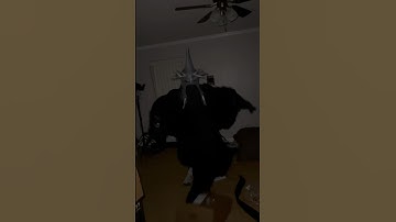 Someone broke into my room…😨 #theboys #scary #shorts #viral #lotr