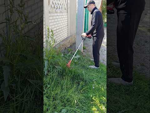 Electric trimmer putting in work!