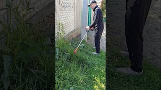 Electric trimmer putting in work!