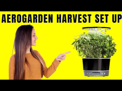 AeroGarden Harvest Product