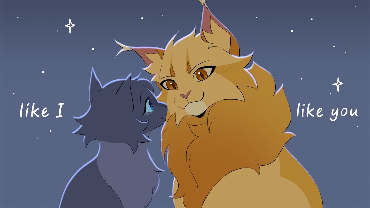 Like I like you - Lionblaze & Cinderheart PMV - YouTube