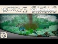 Tropico Tornado!