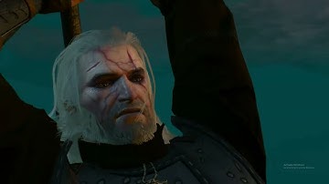 WITCHER 3 - Imlerith in 30s Flat (Deathmarch difficulty, NG +, Alchemy / Attack build)