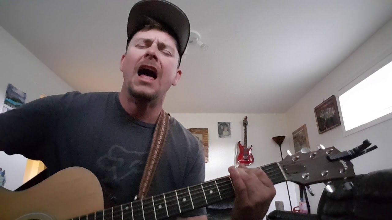 Bro Hymn by Pennywise  (cover)